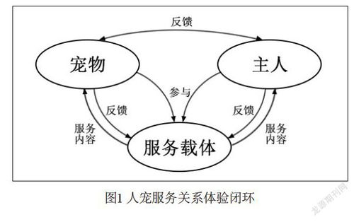 服务设计思维赋能人宠共用产品 从单一物件到和谐共生的体验旅程